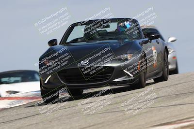 media/Mar-30-2025-Speed Ventures (Sun) [[39e6b1441d]]/Yellow/Session 2 (Grapevine)/